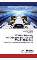 Efficient Recovery Mechanisms Over Igp and Manet Networks