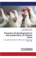 Prospect of development in the production of chicken meat
