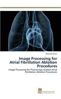 Image Processing for Atrial Fibrillation Ablation Procedures