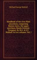 Handbook of the river Plate microform, comprising Buenos Ayres, the upper provinces, Banda Oriental, Paraguay. By M.G. & E.T. Mulhall. In two volumes. Vol. I