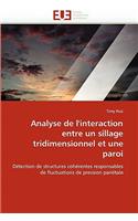 Analyse de l''interaction Entre Un Sillage Tridimensionnel Et Une Paroi: (Omn.Univ.Europ.)