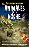 Animales En La Noche