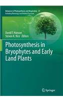 Photosynthesis in Bryophytes and Early Land Plants