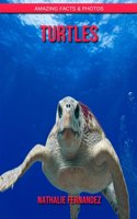 Turtles: Amazing Facts & Photos