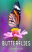 Butterflies Calendar 2021