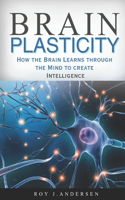 Brain Plasticity: How the Brain Learns through the Mind to create Intelligence.