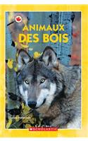 Le Canada Vu de Pr?s: Animaux Des Bois