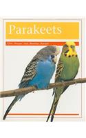 Pets: Parakeets