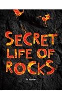 Abrams NFS Infact: Leveled Reader Secret Life of Rocks(Abrams NFS Infact)