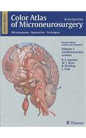 Color Atlas of Microneurosurgery, Volume 2: Microanatomy. Approaches. Techniques; Cerebrovascular Lesions