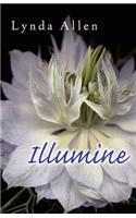 Illumine