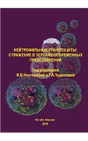 Neutrophilous granulocytes