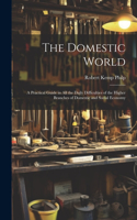 Domestic World