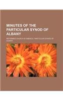 Minutes of the Particular Synod of Albany: (English)
