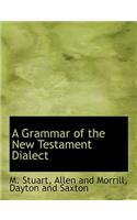A Grammar of the New Testament Dialect