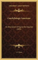 Conchyliologie Americane