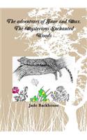 adventures of Jane and Max. The Mysterious Enchanted Woods