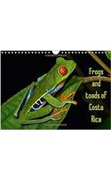 Frogs and Toads of Costa Rica / UK-Version 2017