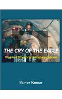 The Cry of the Eagle: The Life and Times of an Aerospace Engineer