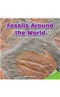 Fossils Around the World
