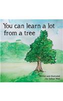 You Can Learn a Lot From a Tree