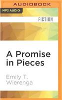 Promise in Pieces