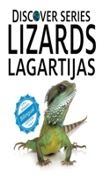 Lizards / Lagartijas