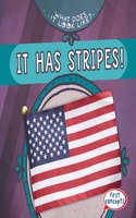 It Has Stripes!: (What Does It Look Like?)