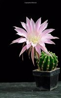 Echinopsis Cactus in Bloom Journal