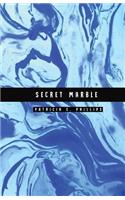 Secret Marble: Light Blue Marble Password Notebook Help You Conceal and Protect Your Password Information
