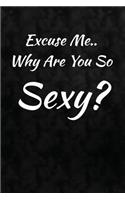 Excuse Me. Why Are You So Sexy?: Writing Journal Lined, Diary, Notebook for Men & Women