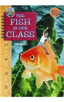 The Fish in Our Class