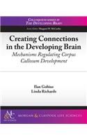 Creating Connections in the Developing Brain