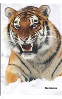 Tiger Notebook