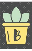 B