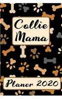 COLLIE MAMA Planer 2020