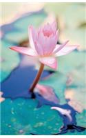 Pink Lotus Flower Dot Grid Journal 5.5 x 8.5 176 Pages Matte Cover