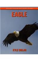 Eagle! Learn about Eagle and Enjoy Colorful Pictures