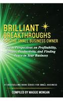 Brilliant Breakthroughs for the Small Business Owner: Fresh Perspectives on Profitability, People, Productivity, and Finding Peace in Your Business