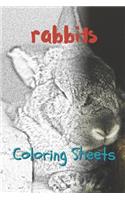 Rabbit Coloring Sheets: 30 Rabbit Drawings, Coloring Sheets Adults Relaxation, Coloring Book for Kids, for Girls, Volume 1