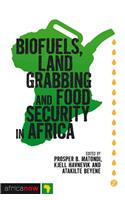Biofuels, Land Grabbing and Food Security in Africa