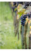 Pinot Noir Grape Vines in the Vineyard Journal: Take Notes, Write Down Memories in this 150 Page Lined Journal