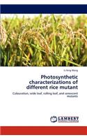 Photosynthetic characterizations of different rice mutant