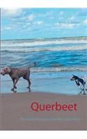 Querbeet: Tierische Kurzgeschichten mit Herz(German)