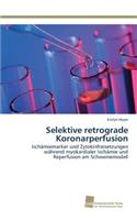 Selektive retrograde Koronarperfusion