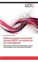 Diferenciacion Sexual del Nucleo Nest En Ausencia de Androgenos: (Spanish)