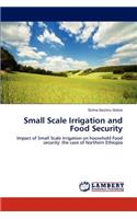 Small Scale Irrigation and Food Security