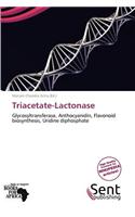Triacetate-Lactonase