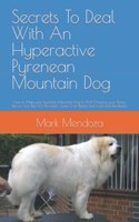 Secrets To Deal With An Hyperactive Pyrenean Mountain Dog