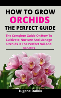 How To Grow Orchids